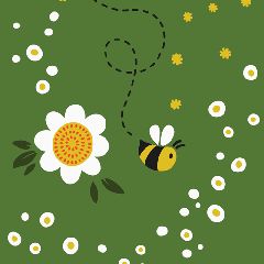 Honey Bloom